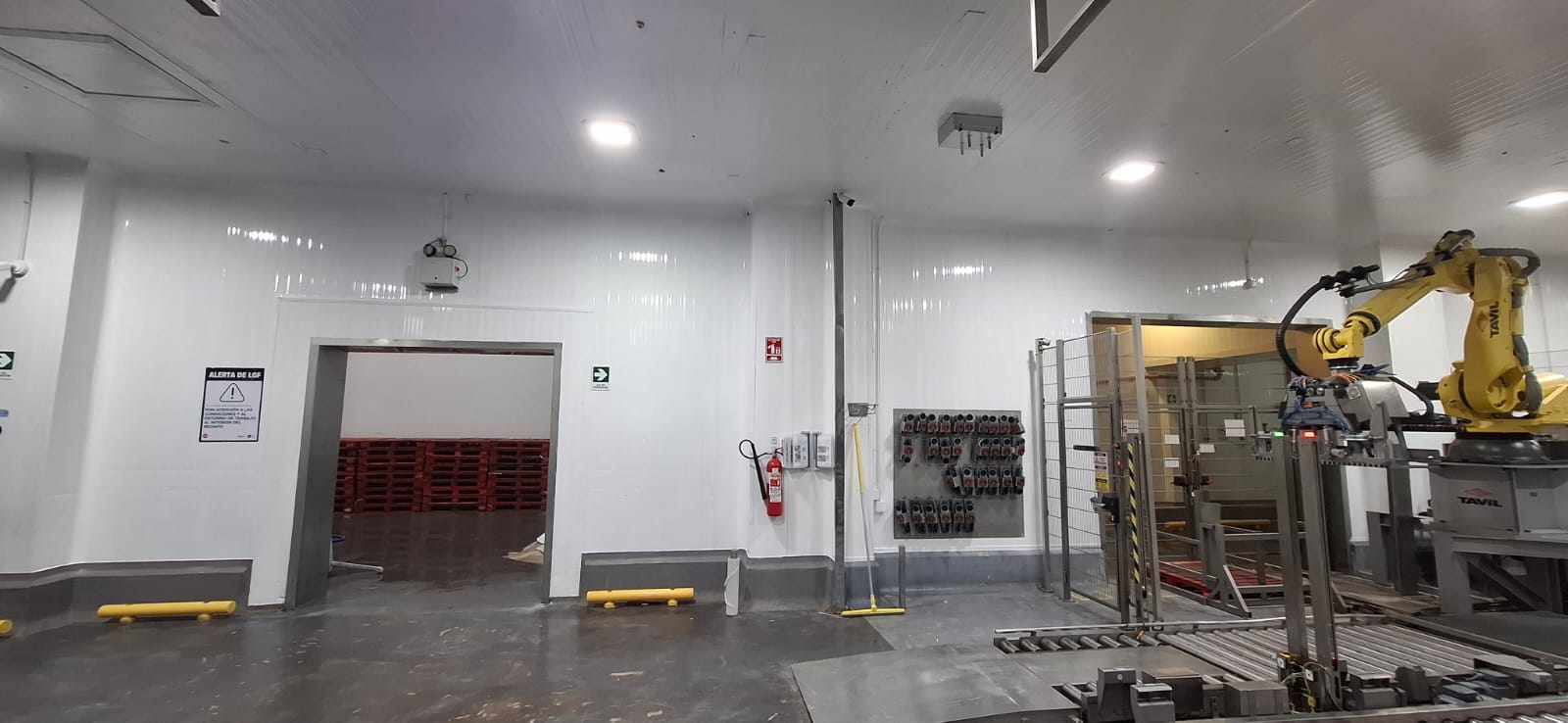 Proyecto 19
